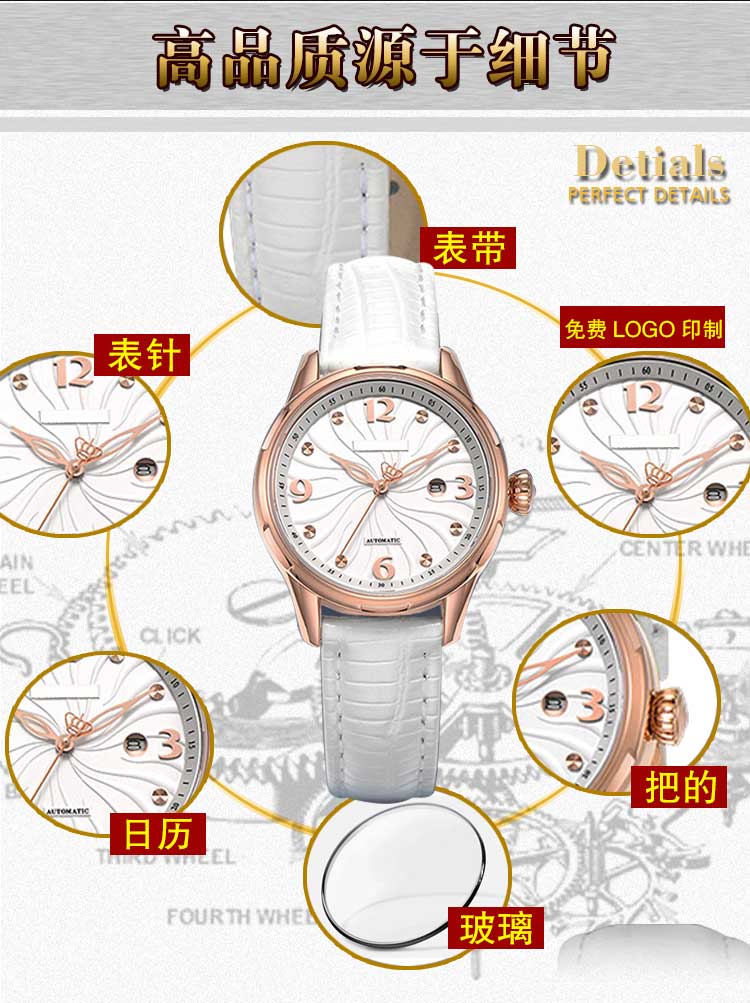 批量定制女士機(jī)械手表_穩(wěn)達(dá)時(shí)工廠直銷