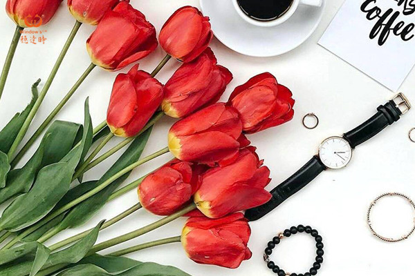 穩(wěn)達(dá)時(shí)手表廠 定制中高端品質(zhì)手表 廠家直銷