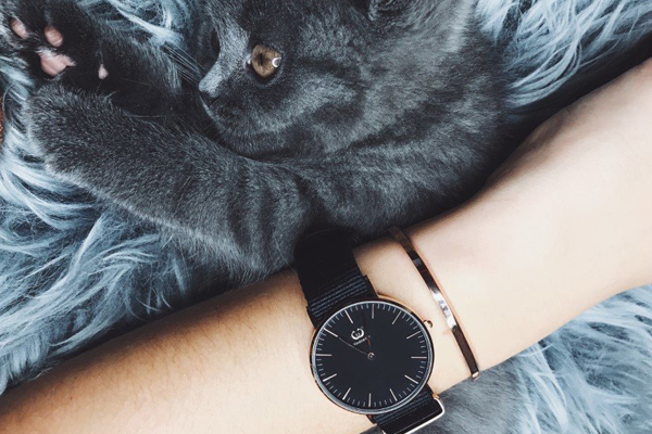 穩(wěn)達(dá)時(shí)時(shí)尚廠家定制時(shí)尚潮流手表 經(jīng)典酷黑腕 男士腕表