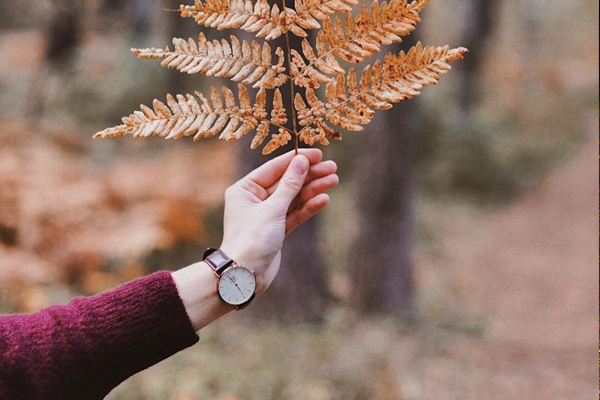 穩(wěn)達(dá)時(shí)批量定制禮品手表 廠家直銷